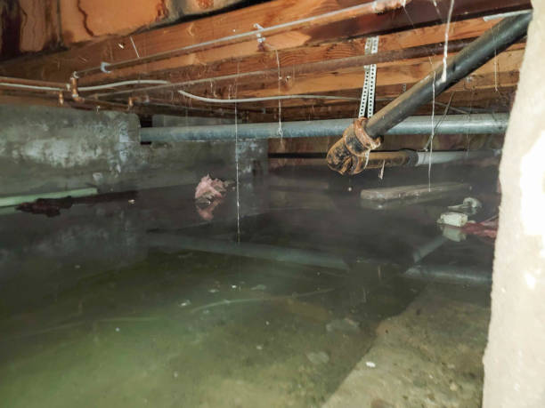 Best Water damage contractors near me  in Orinda, CA