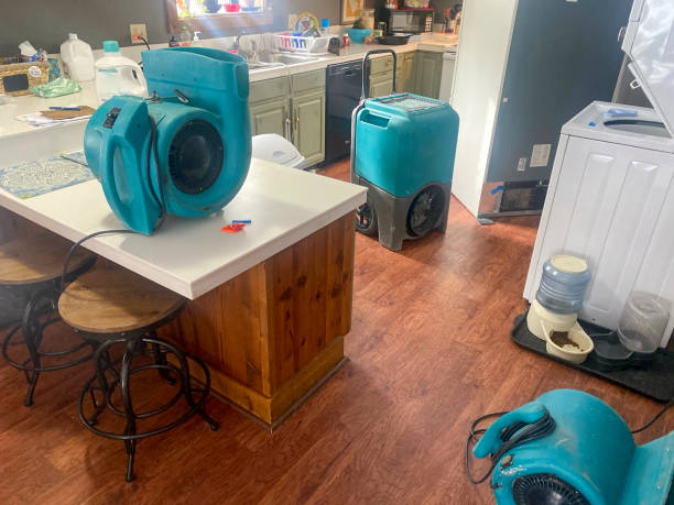 Best 24-hour water damage restoration  in Orinda, CA