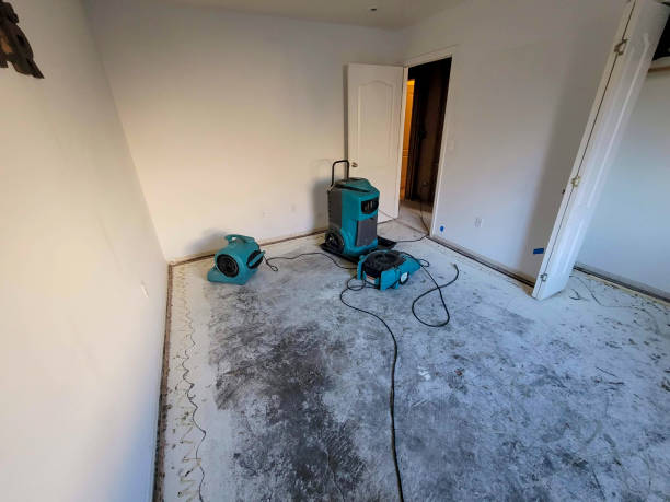 Best Local water damage restoration  in Orinda, CA