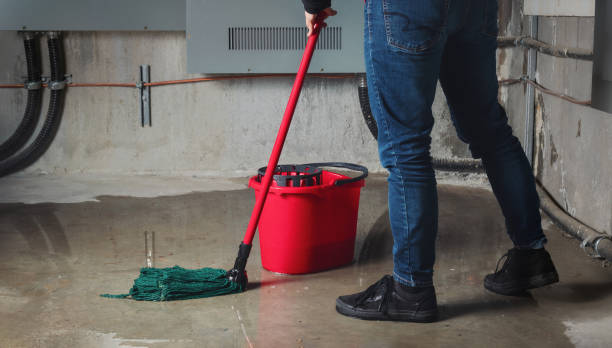 Best Basement water damage restoration  in Orinda, CA